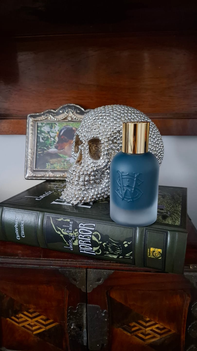 Customer photo review of Surfari