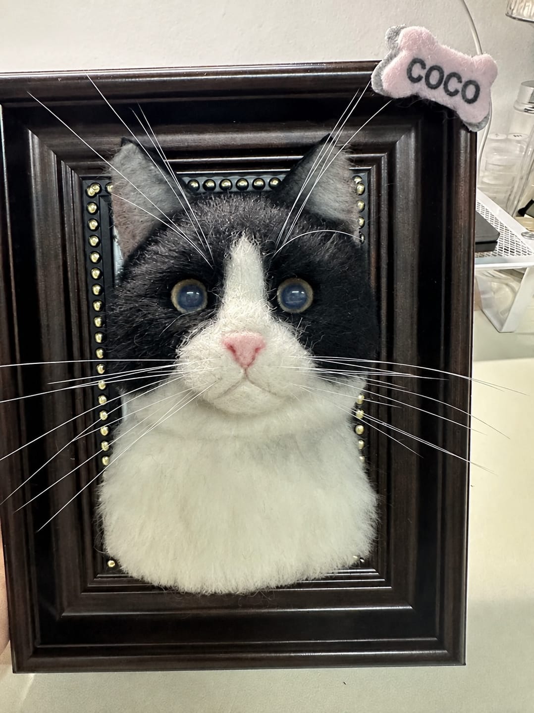 Customer photo review of Custom Pet Cloning Felt Portrait Frame