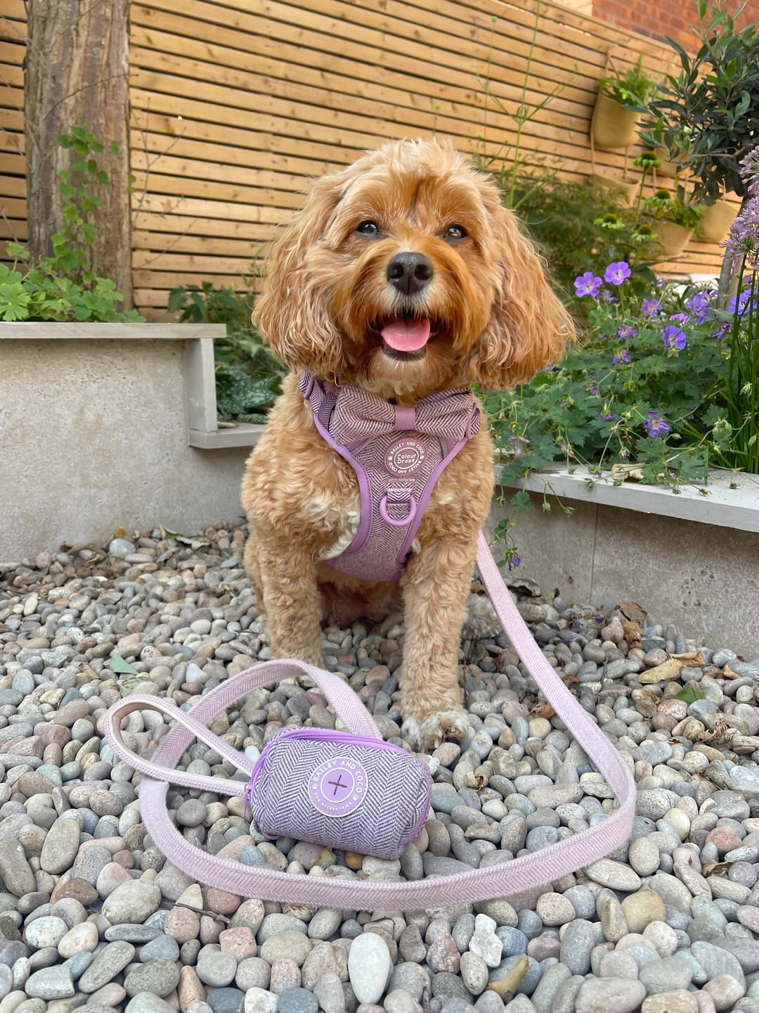 Customer photo review of Poo Bag Holder - Colour Drops - Plum Tweed