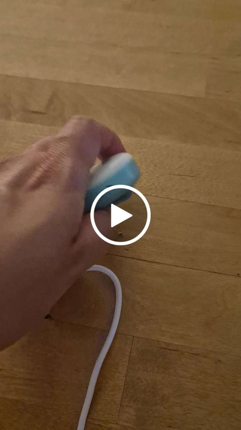 Customer video review of Birdie Disc