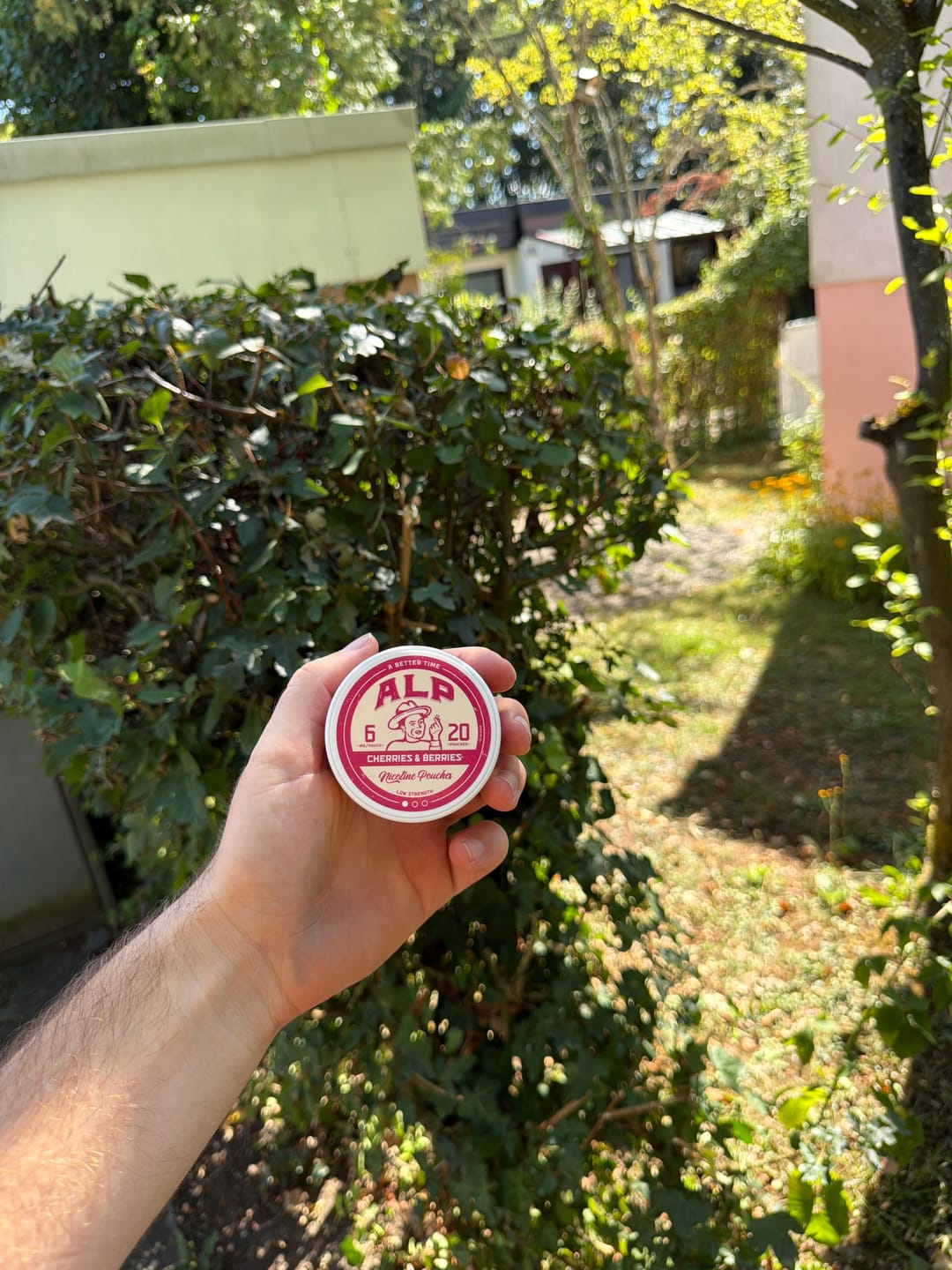 Customer photo review of Cherries & Berries Nicotine Pouches