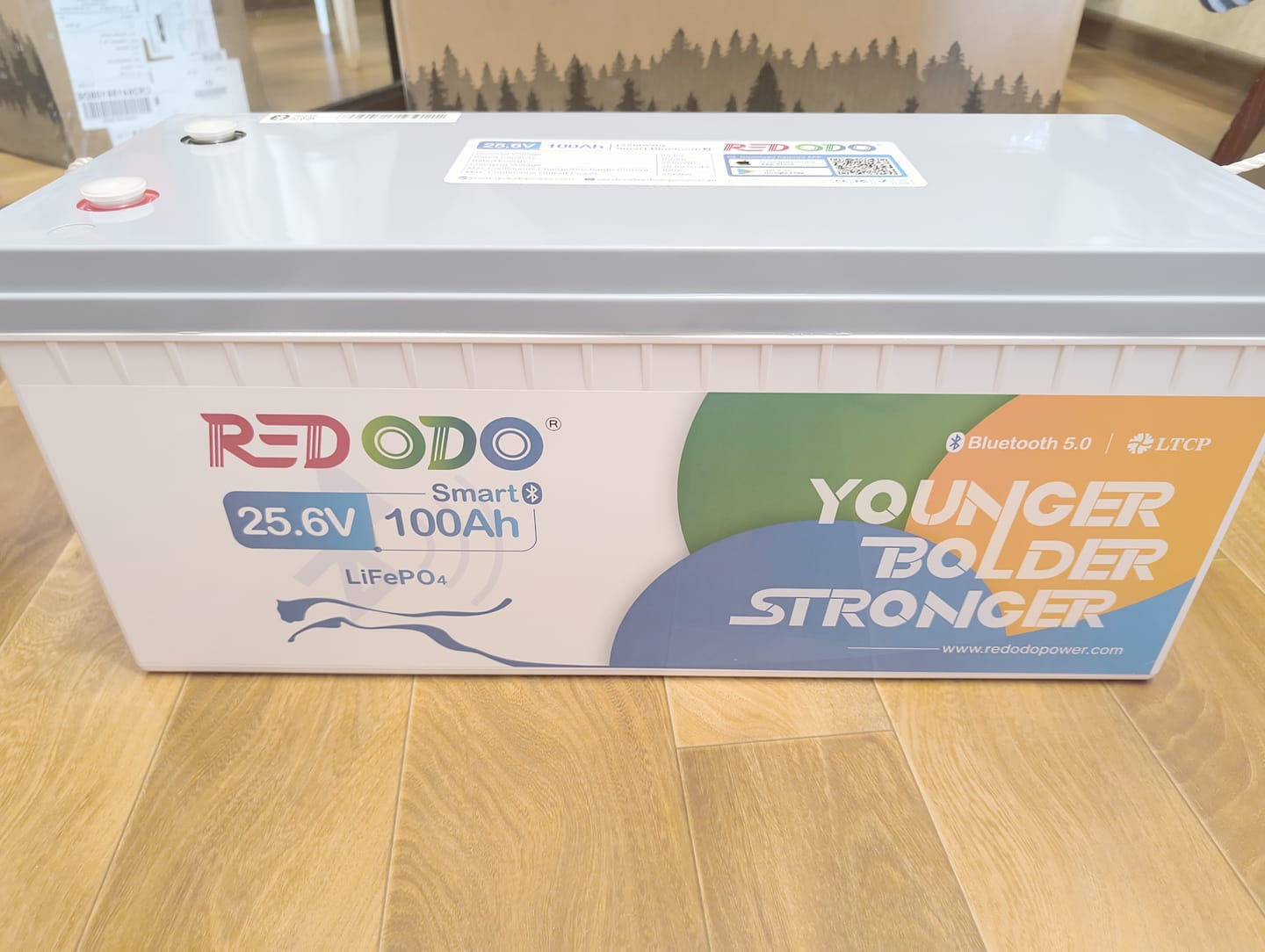 Customer photo review of 【Україна】Redodo 24V 100Аh LiFePO4 батарея з Bluetooth BMS 100A