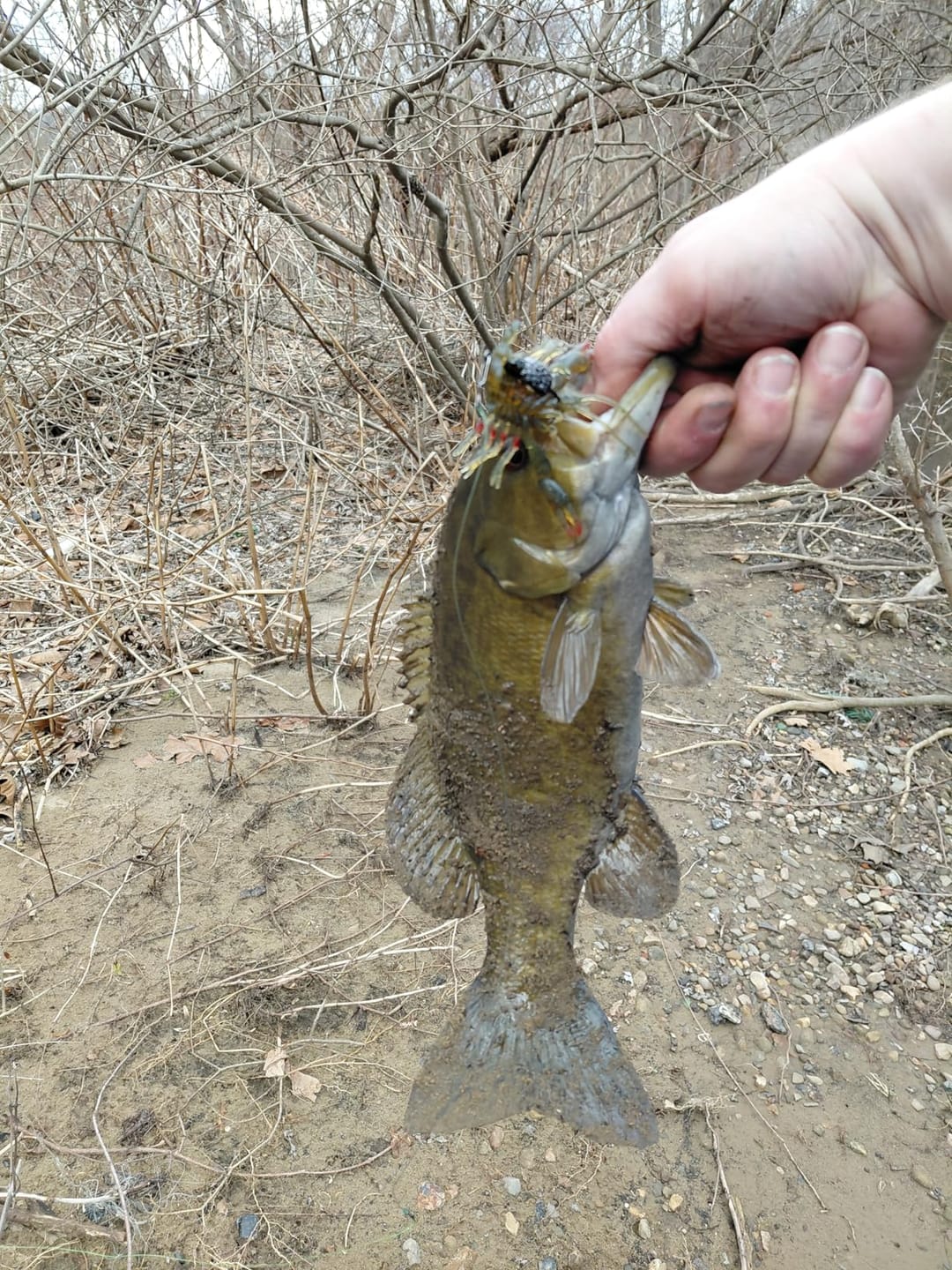 Customer photo review of Duramax Dark Color Pre-Rigged Soft Swimbaits with BKK Hooks for Bass Fishing