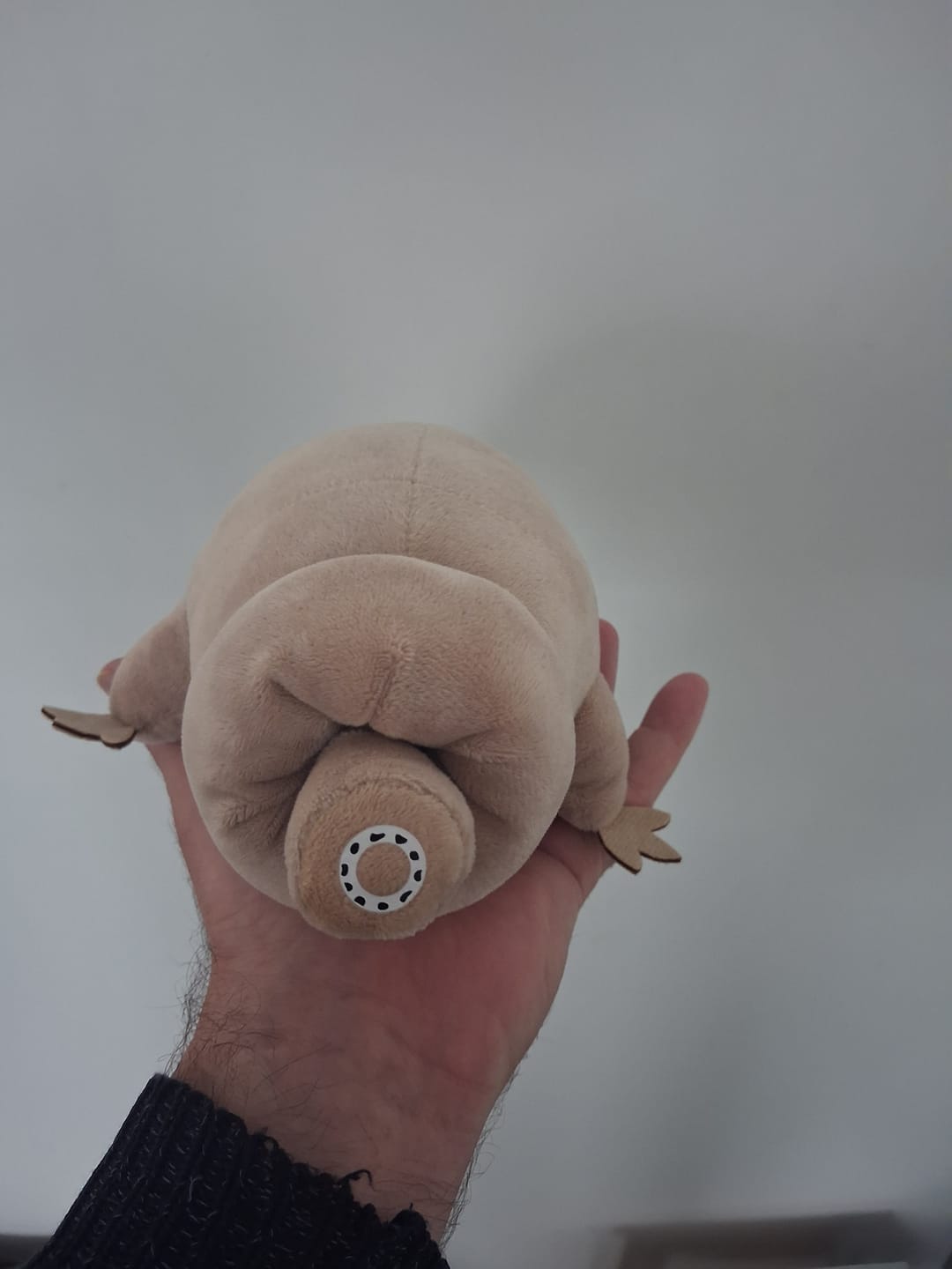 Customer photo review of Tardigrade Water Bear Soft Stuffed Plush Toy
