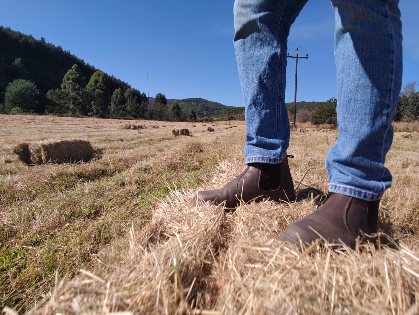 Customer photo review of DESERT GUSSET NUBUCK BROWN