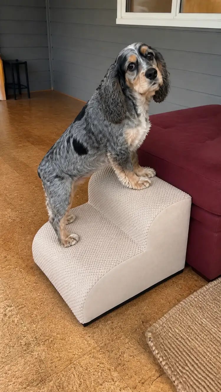 Customer photo review of AuraEase Soft Dog Stairs for Bed & Couch