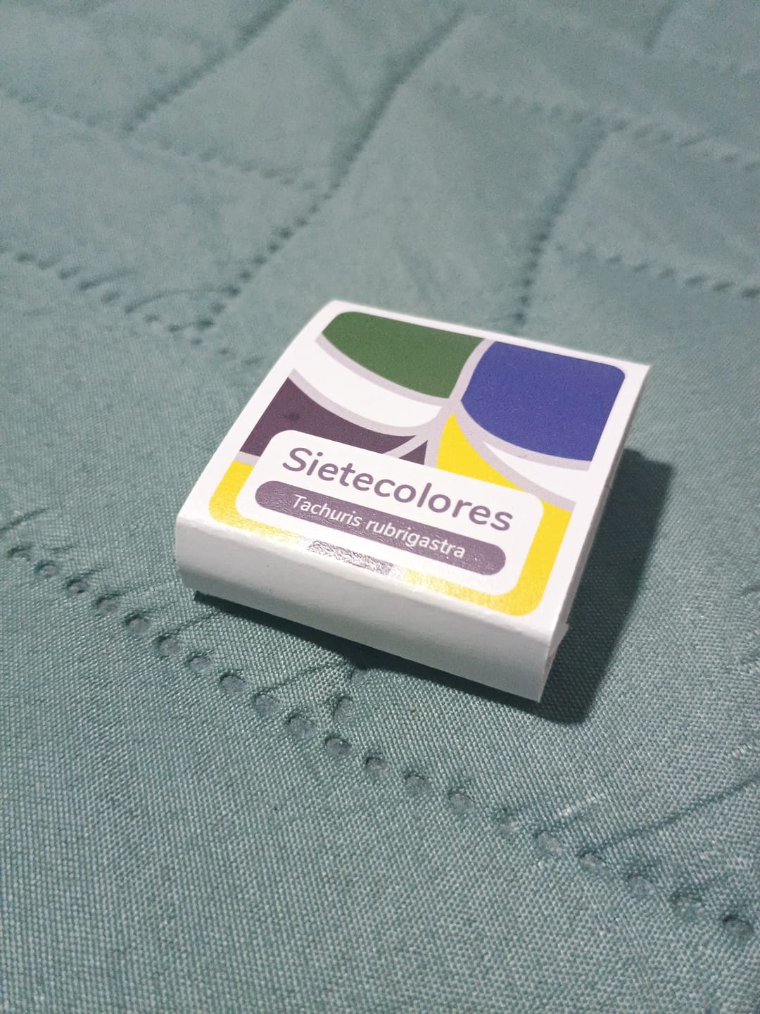 Customer photo review of Pin de Fauna Chilena - Sietecolores