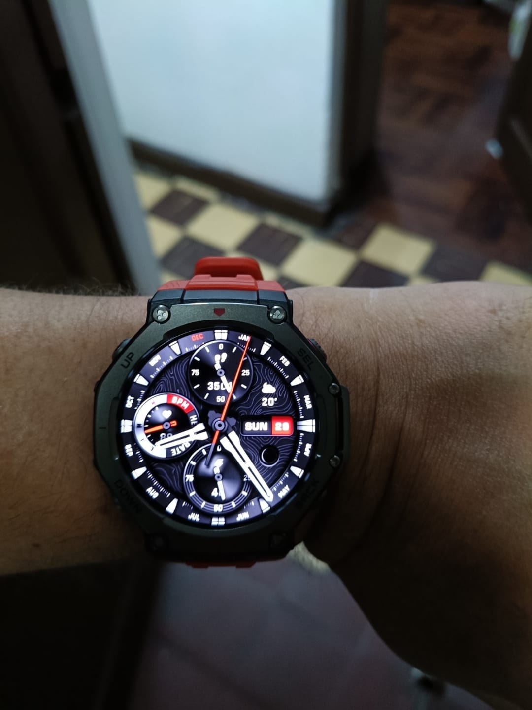 Customer photo review of T-Rex 3