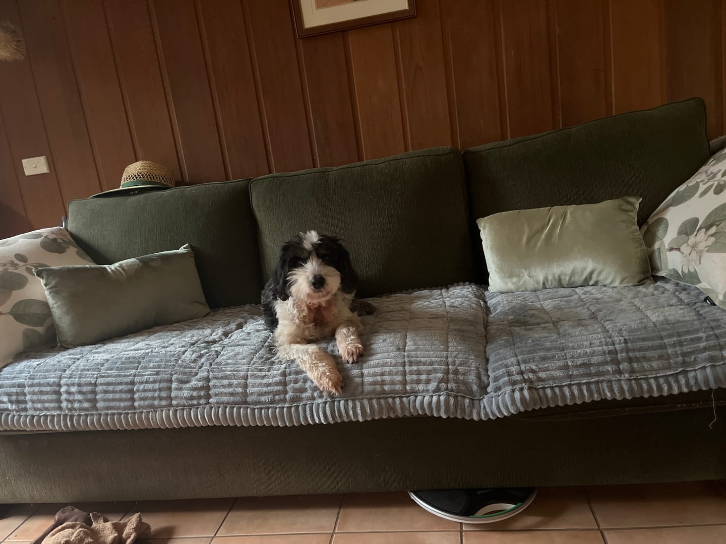 Customer photo review of Cosy Couch - Couch Cover