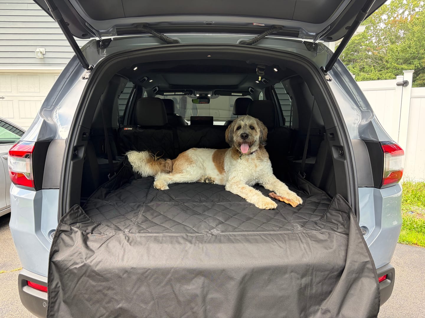 Customer photo review of Cargo Liner for SUVs - Large