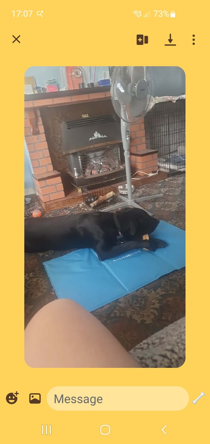 Customer photo review of Arctic Cooling Mat