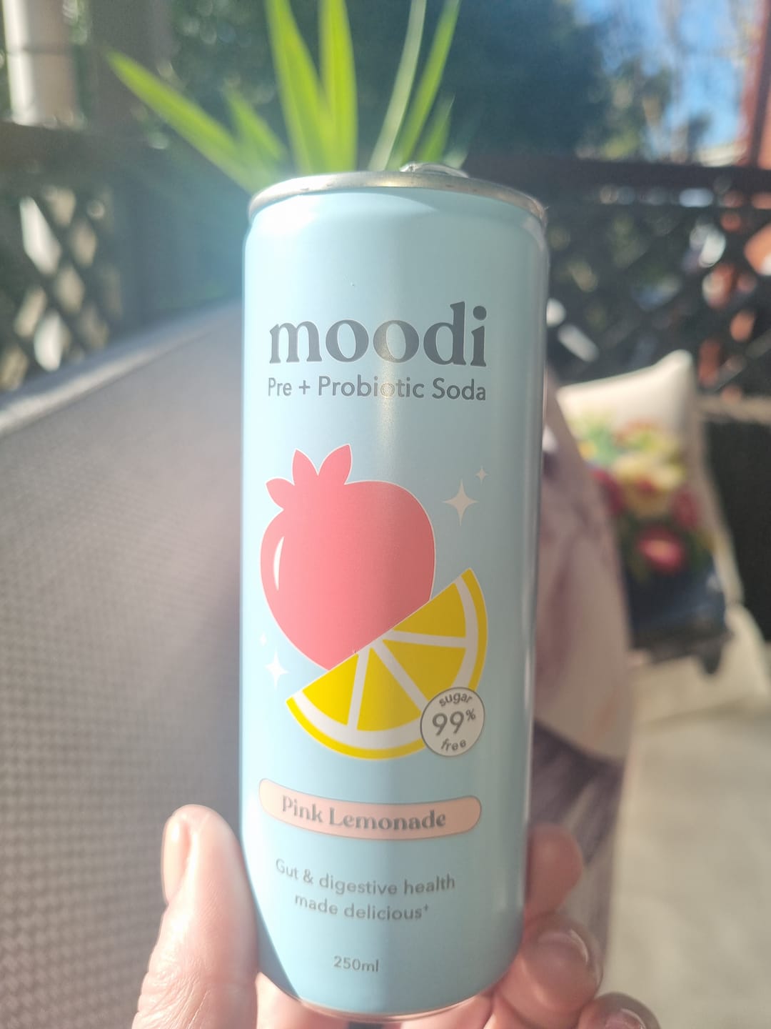 Customer photo review of Plant Protein Ball - Gold Rush Entry