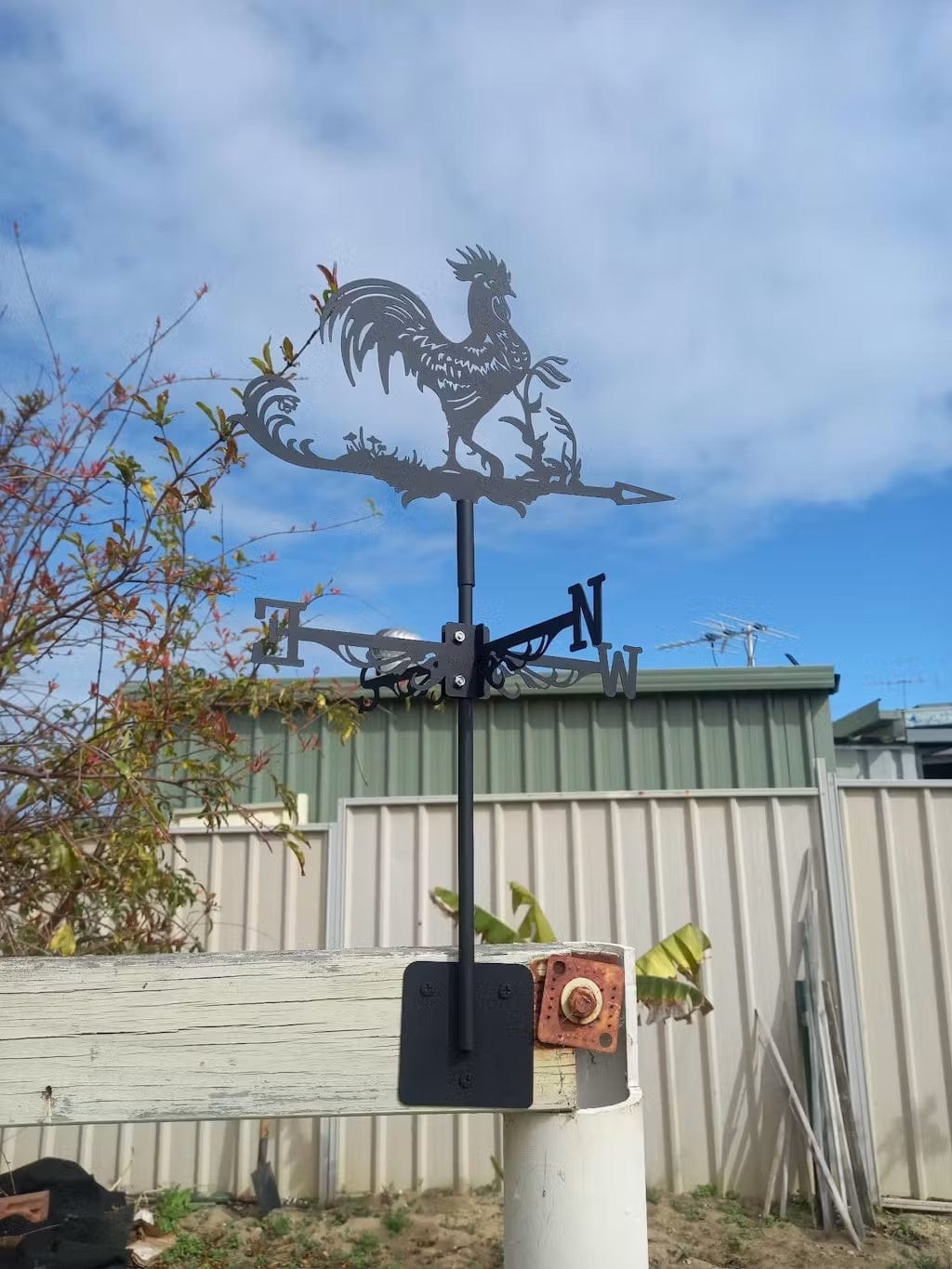 Customer photo review of Weather Vane - Rooster