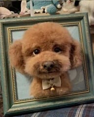 Customer photo review of Custom Pet Cloning Felt Portrait Frame