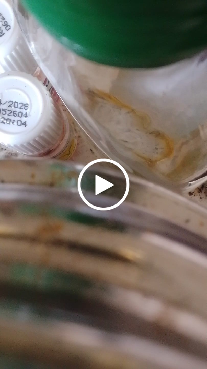 Customer video review of 💥 Diesel Dynamite - SATIVA TURBO LVL 5/5