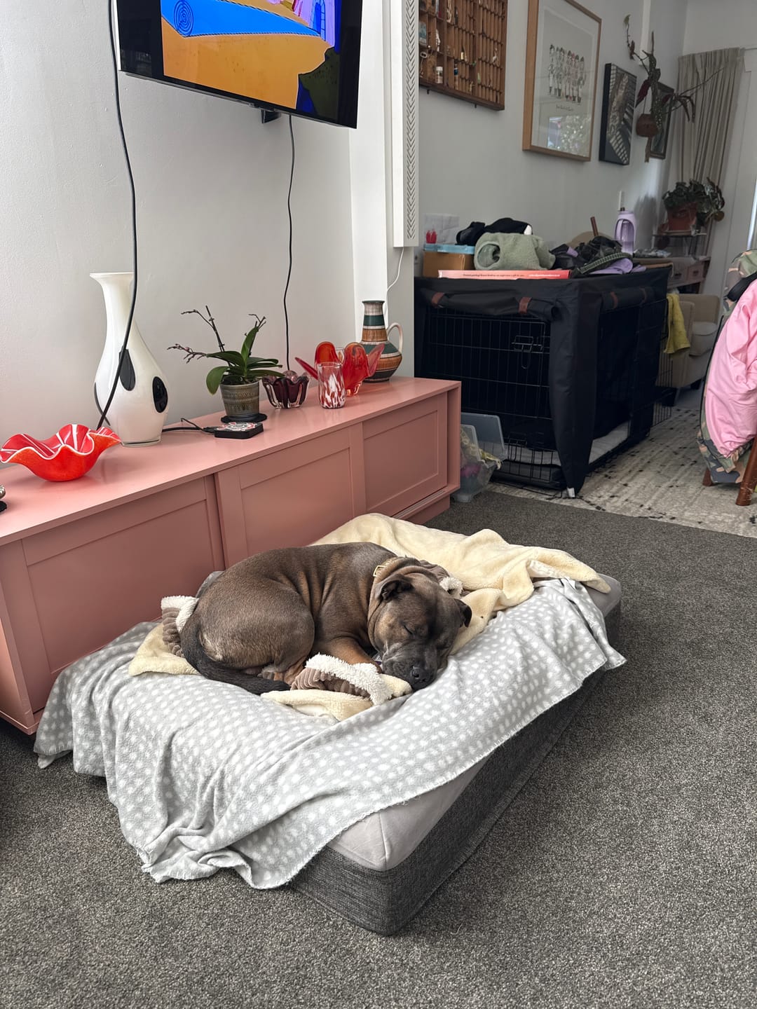Customer photo review of Orthopaedic Memory Foam Bed