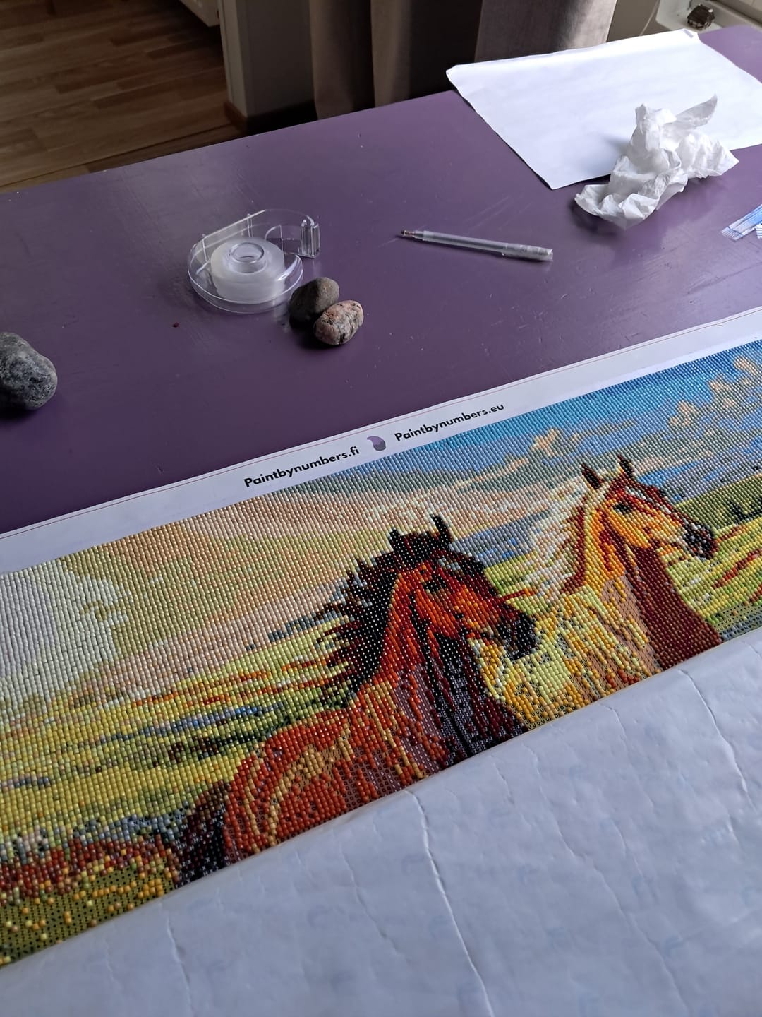 Customer photo review of Field Gallop 60x40cm - Timanttimaalaus