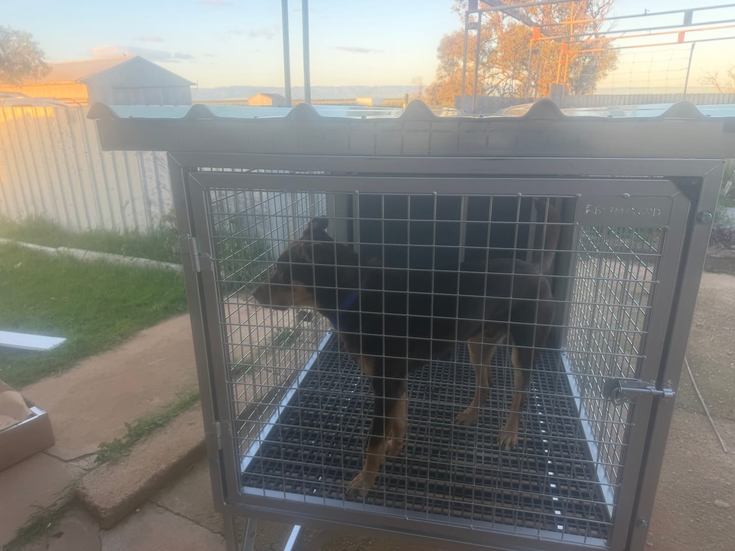 Customer photo review of CozyCube Coldroom Panel Insulated Dog House