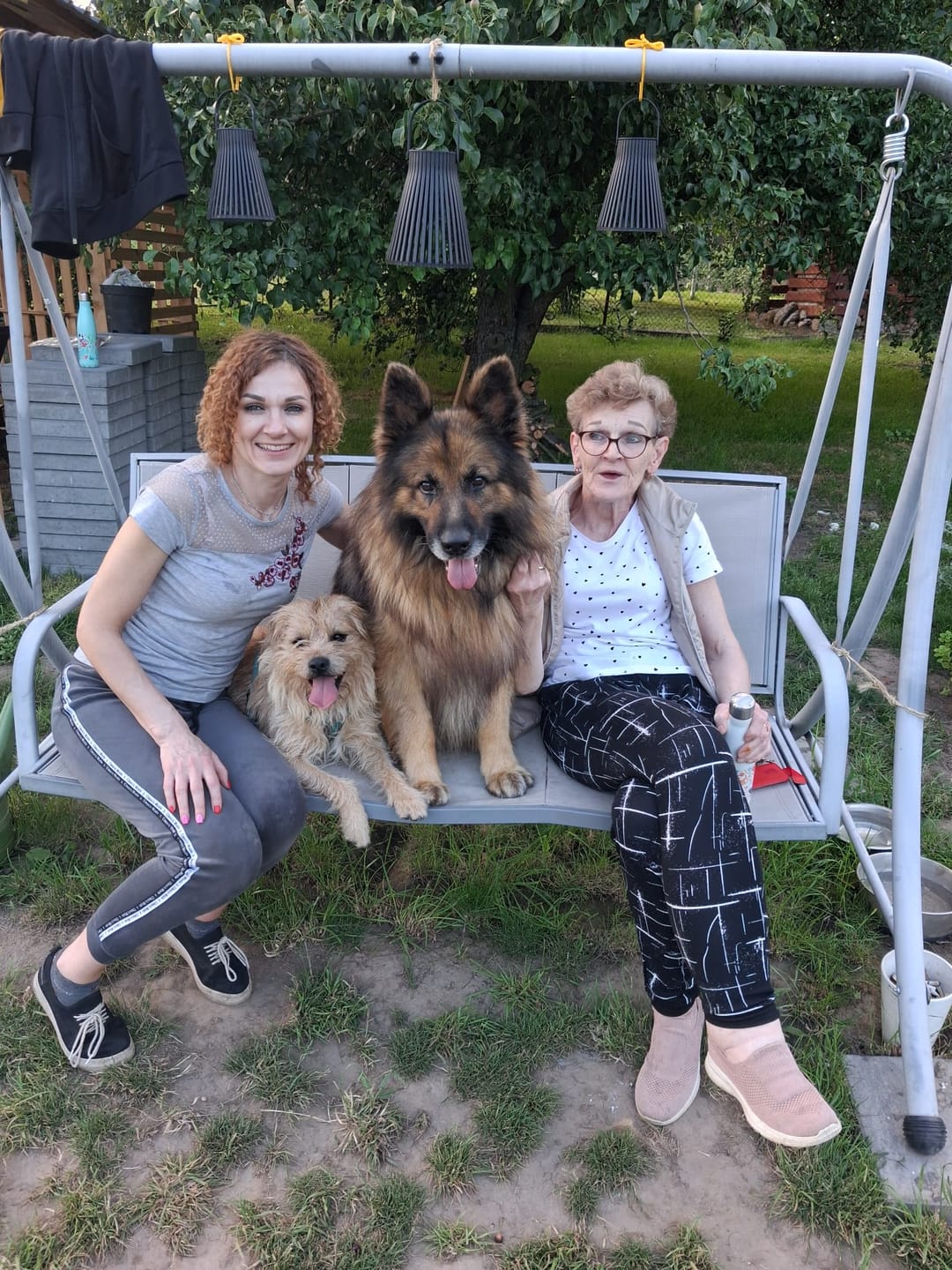 Customer photo review of For Senior Joints and Bones | Supplement for Old Dogs