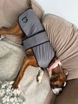 Customer photo review of Luxury Dog Cooling Coat