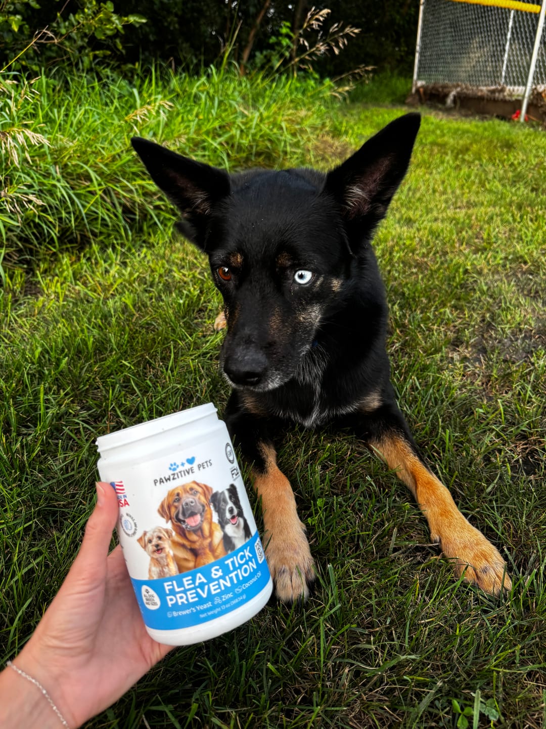 Customer photo review of Flea and Tick Prevention for Dogs – 120 Soft Chews