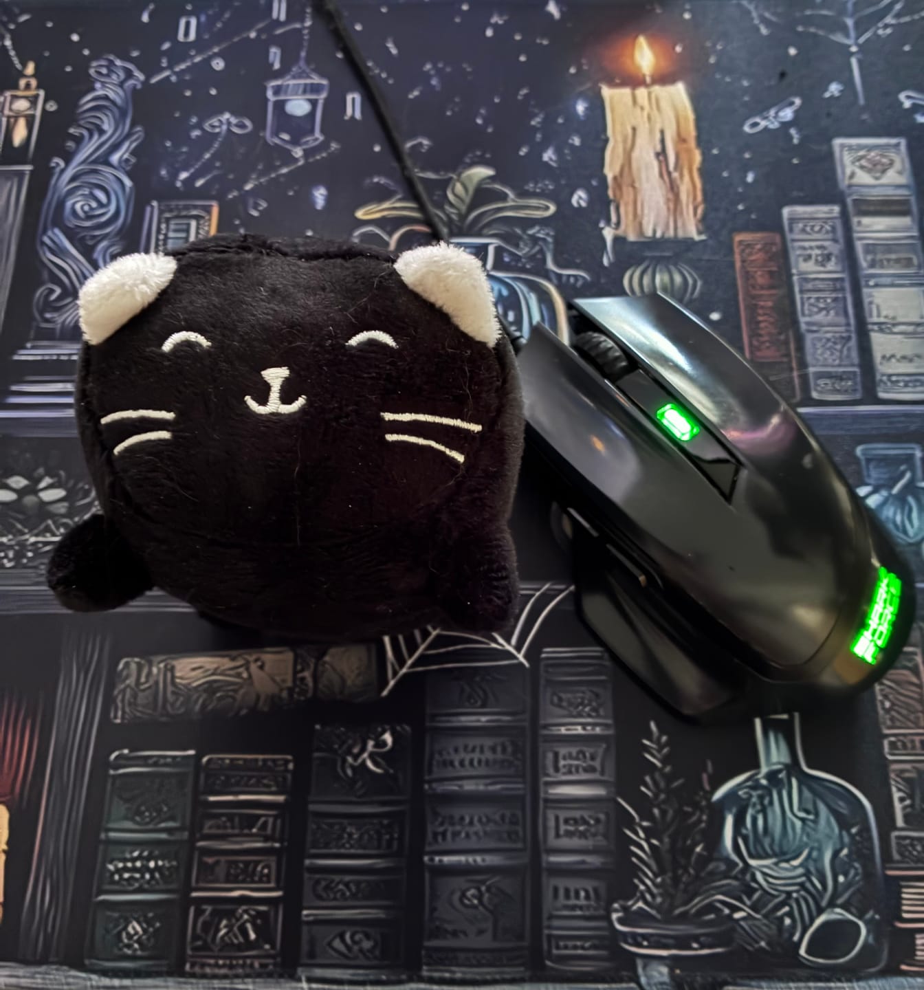 Customer photo review of Luna – Schwarze Katze als Stressball und Bildschirmreiniger