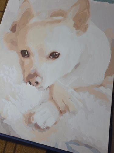 Customer's completed Custom Paint by Numbers Kit painting featuring a tan and white dog