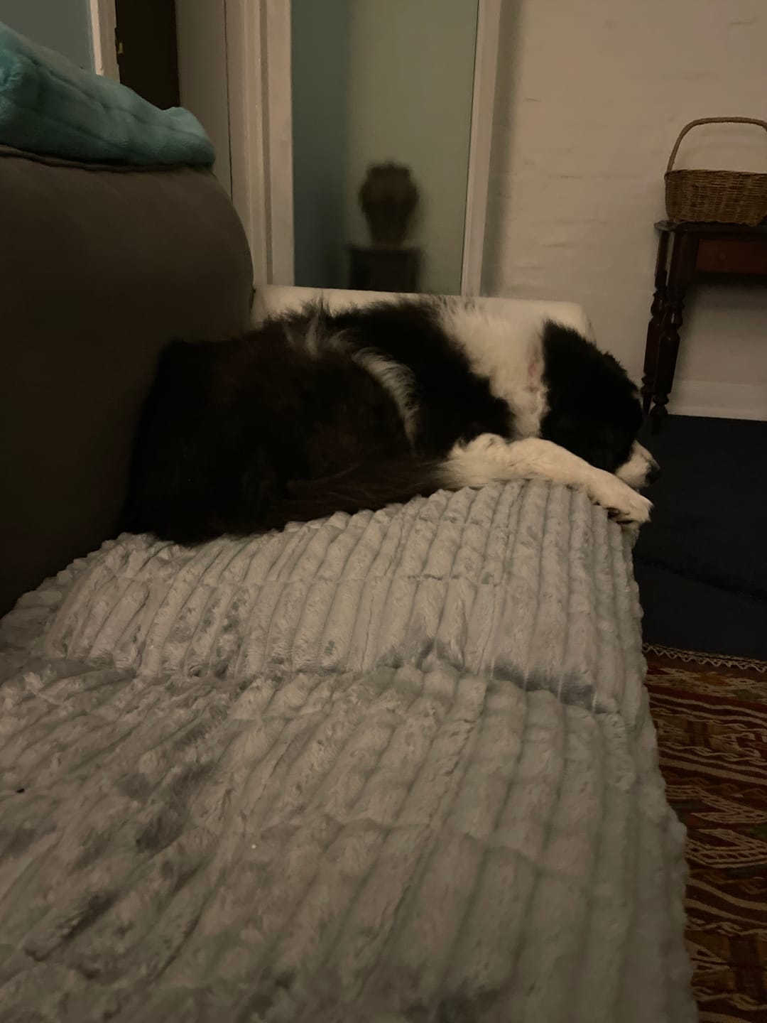 Customer photo review of CouchCloud - Couch Covers