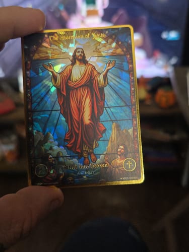 Customer photo review of Collector's Bundle