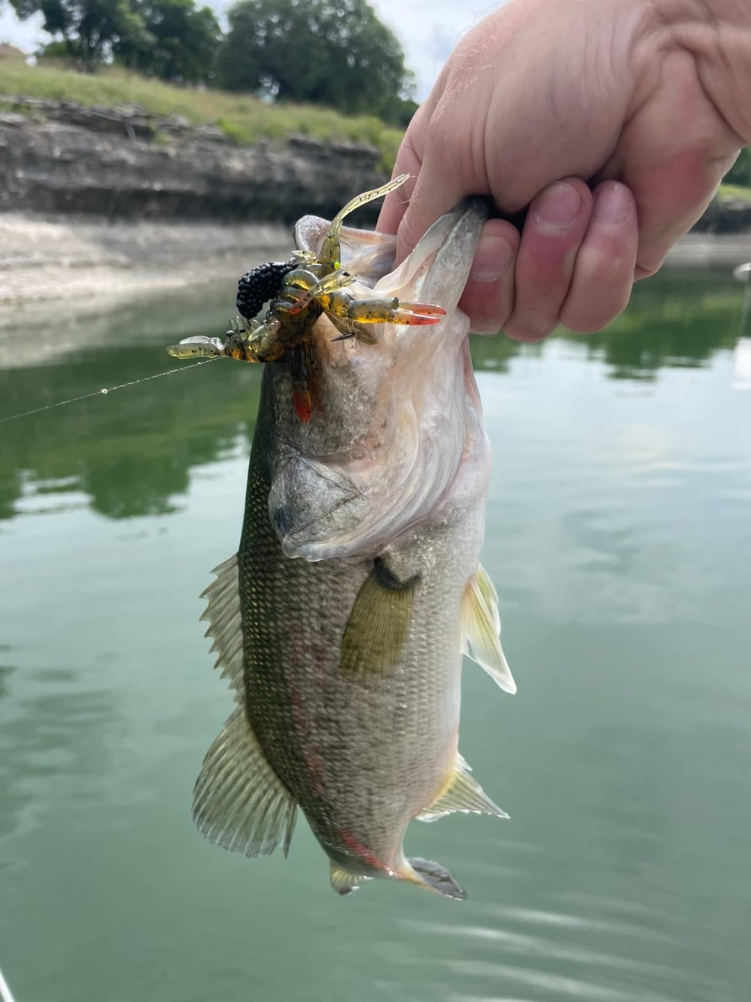 Customer photo review of Duramax Dark Color Pre-Rigged Soft Swimbaits with BKK Hooks for Bass Fishing