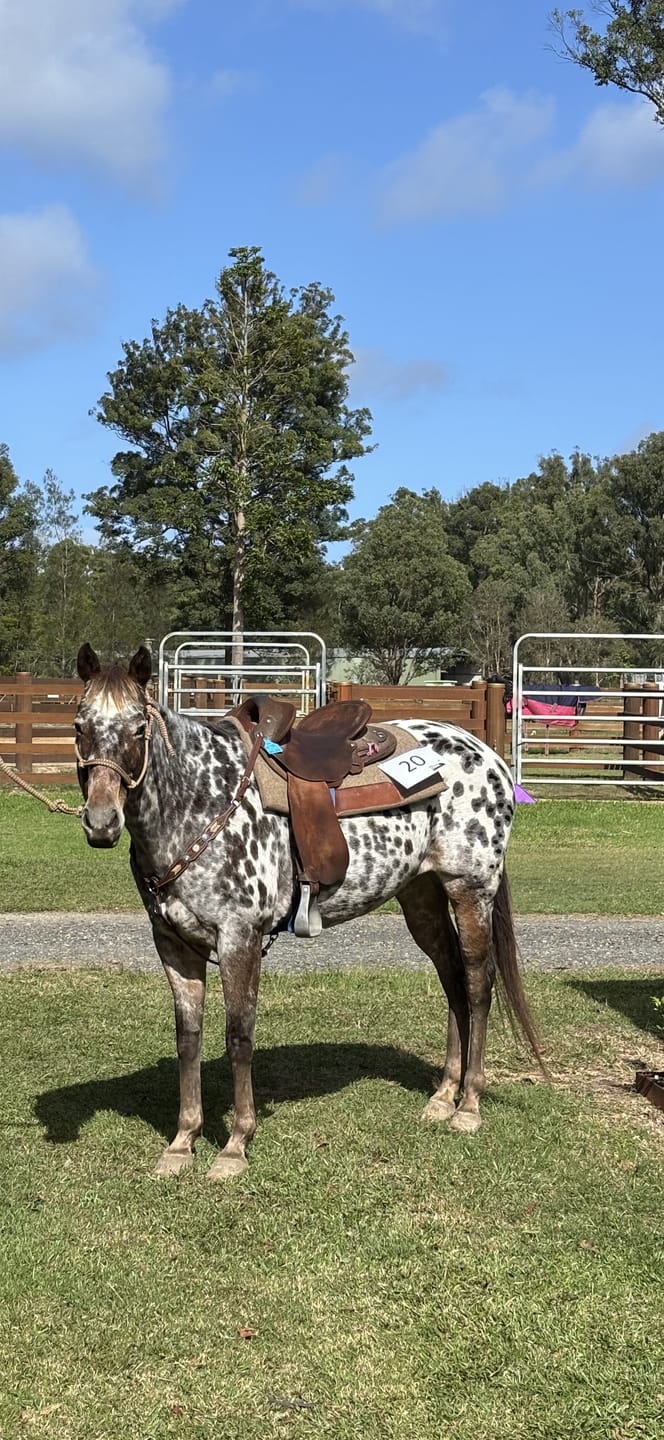 Customer photo review of Digestive EQ