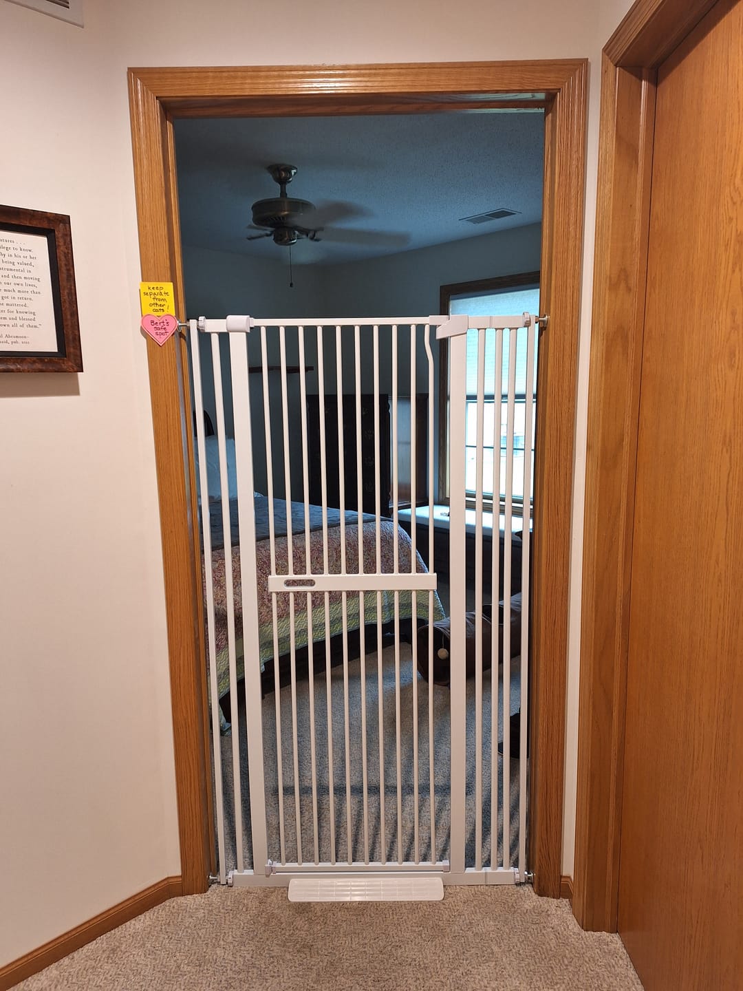 Customer photo review of FairyBaby 55"/61" Extra Tall Cat Gate with Narrow Bar Spacing