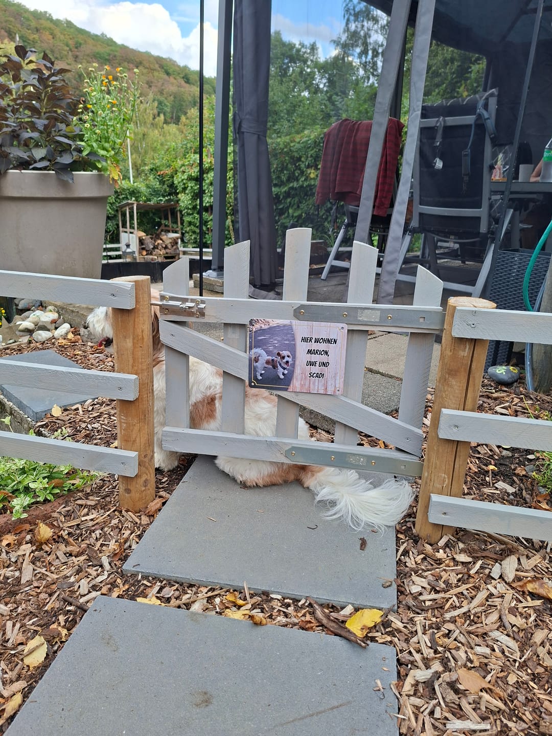 Customer photo review of Hunde-Türschild personalisiert mit Foto & Text (UV- und wetterfest)