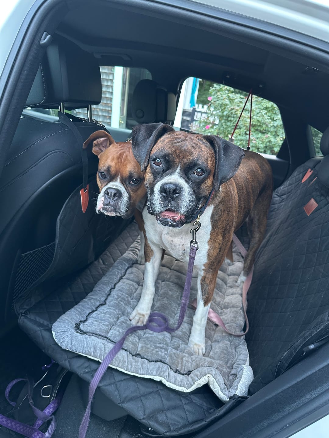Customer photo review of CozyRider™ 2.0