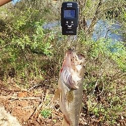 Customer photo review of Swimmax Fishing Lures | Six-Segmented | BKK Hook | Rattling Gurgling | Heavy-Duty Dyneema Fiber | For Bass & Trout & Walleye & Crappie