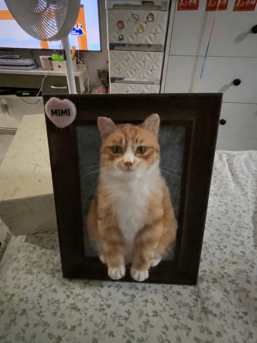 Customer photo review of Custom Pet Cloning Felt Portrait Frame