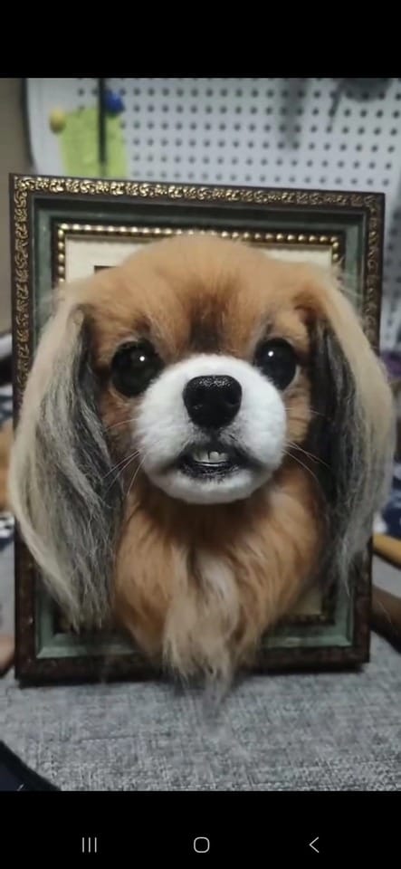 Customer photo review of Custom Pet Cloning Felt Portrait Frame