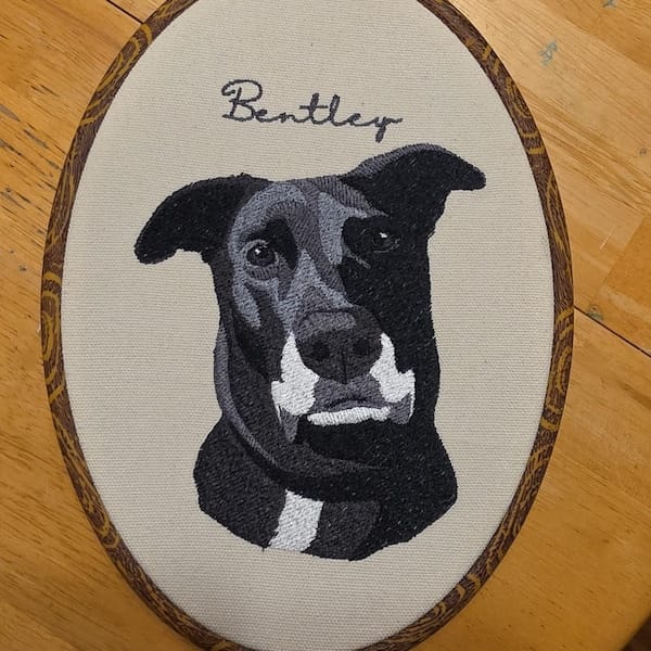 Customer photo review of Personalized Pet Portrait Embroidery Hoop Art