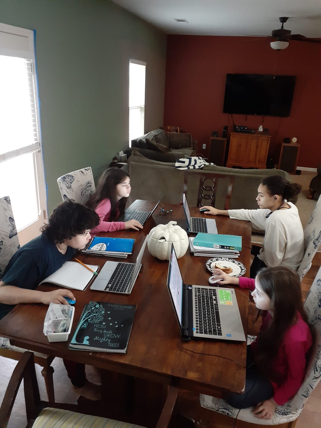 Customer photo review of Twelfth Grade Curriculum