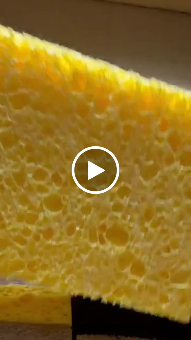 Customer video review of Plant Derived Sponges