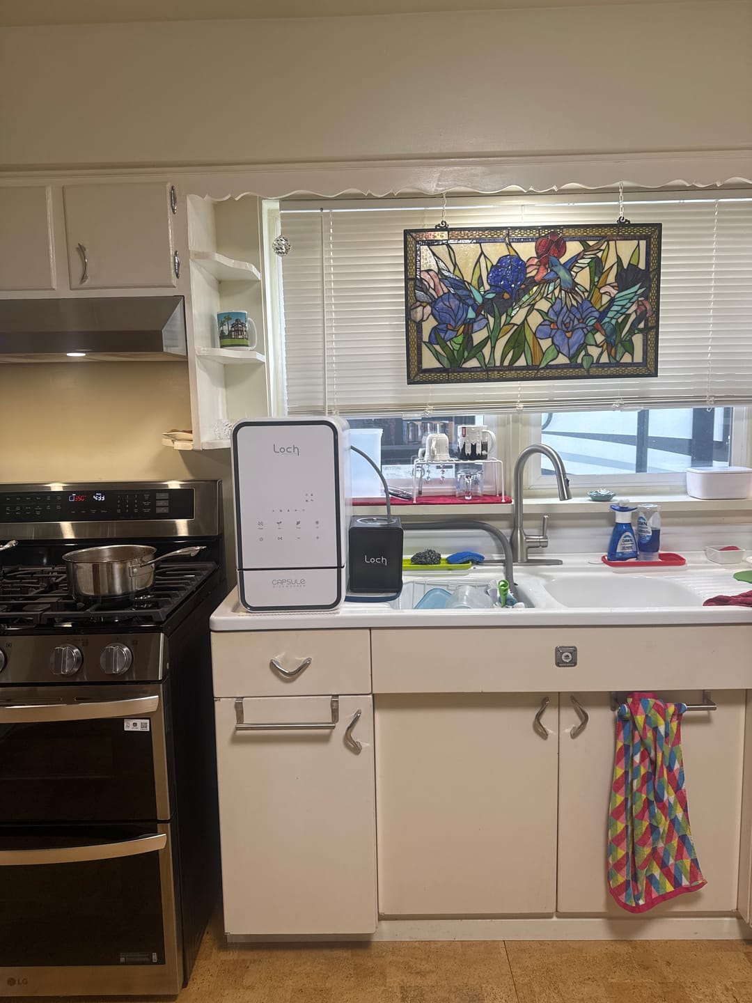 Customer photo review of Capsule Dishwasher