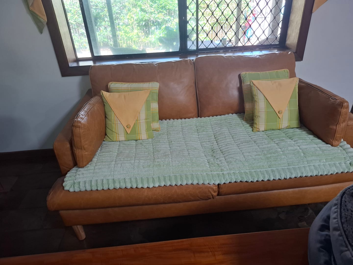 Customer photo review of CouchCloud - Couch Covers