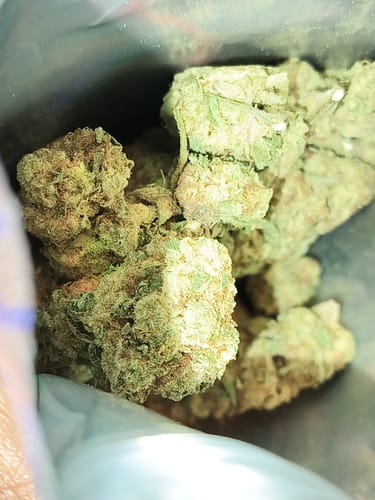 Velvet Cherries Indoor - Bulk - Indica photo review