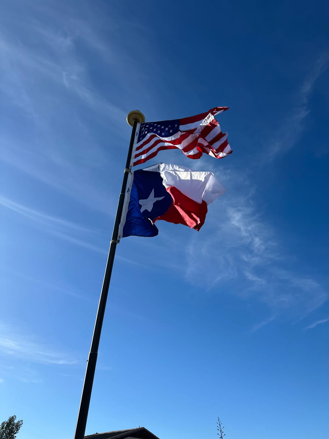 Customer photo review of 3' x 5' American Flag