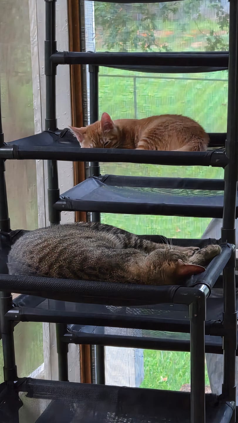 Customer photo review of Durable Cat Tower - SkyRise