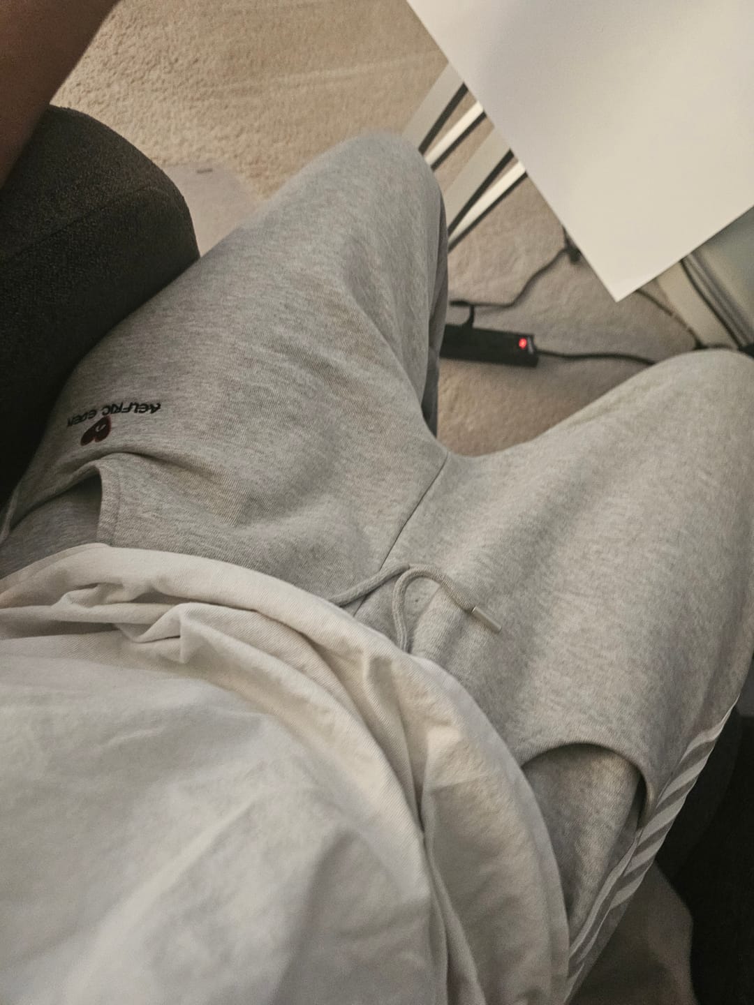 Customer photo review of Aelfric Eden Double Waist Vintage Baggy Sweatpants