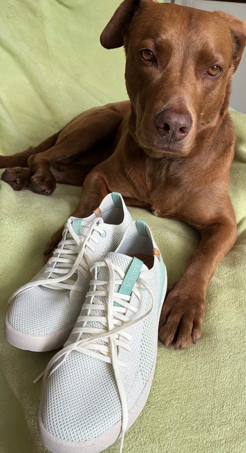 Customer photo review of Cannon Knit W 2.0 White / Cameo Green