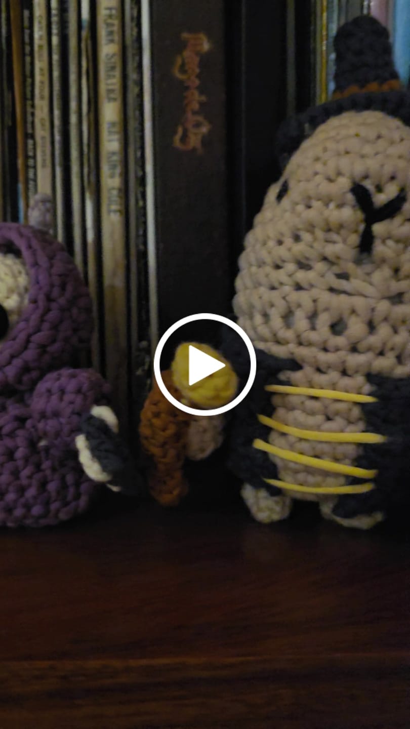 Customer video review of Oberon The Capybara Mage Crochet Kit