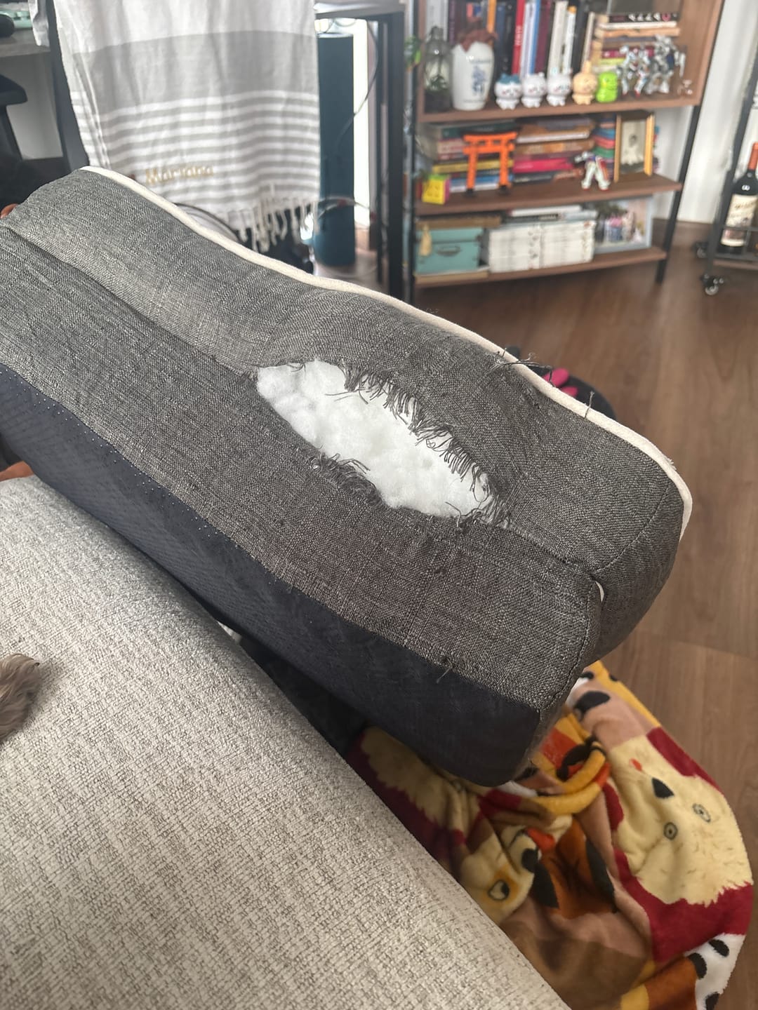 Customer photo review of Cama Ortopédica para Perros