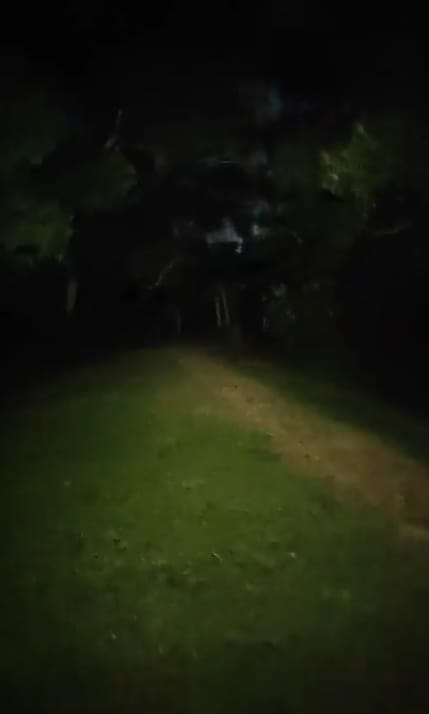Customer photo review of HA25 UHE - 800 lumens